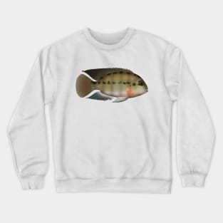 True Parrot Cichlid Crewneck Sweatshirt